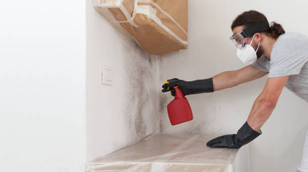 Professional Basement Mold Remediation technician working in Geneva, IL