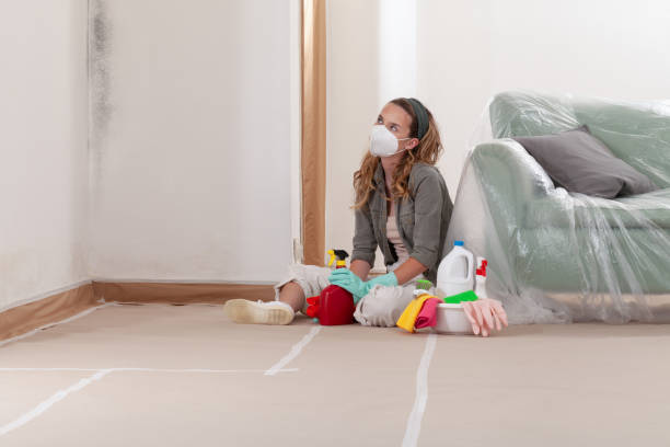 Reliable Basement Mold Remediation contractor in Geneva, IL by WQB Mold Removal